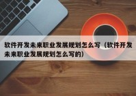 软件开发未来职业发展规划怎么写（软件开发未来职业发展规划怎么写的）