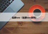 站群seo（站群seo源码）