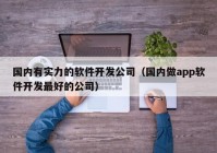 国内有实力的软件开发公司（国内做app软件开发最好的公司）