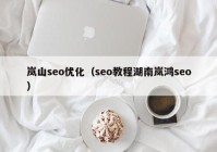 岚山seo优化（seo教程湖南岚鸿seo）