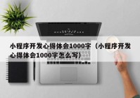 小程序开发心得体会1000字（小程序开发心得体会1000字怎么写）